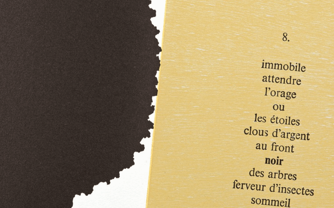 Des mots en images : rencontres littéraires avec les auteur·ices
