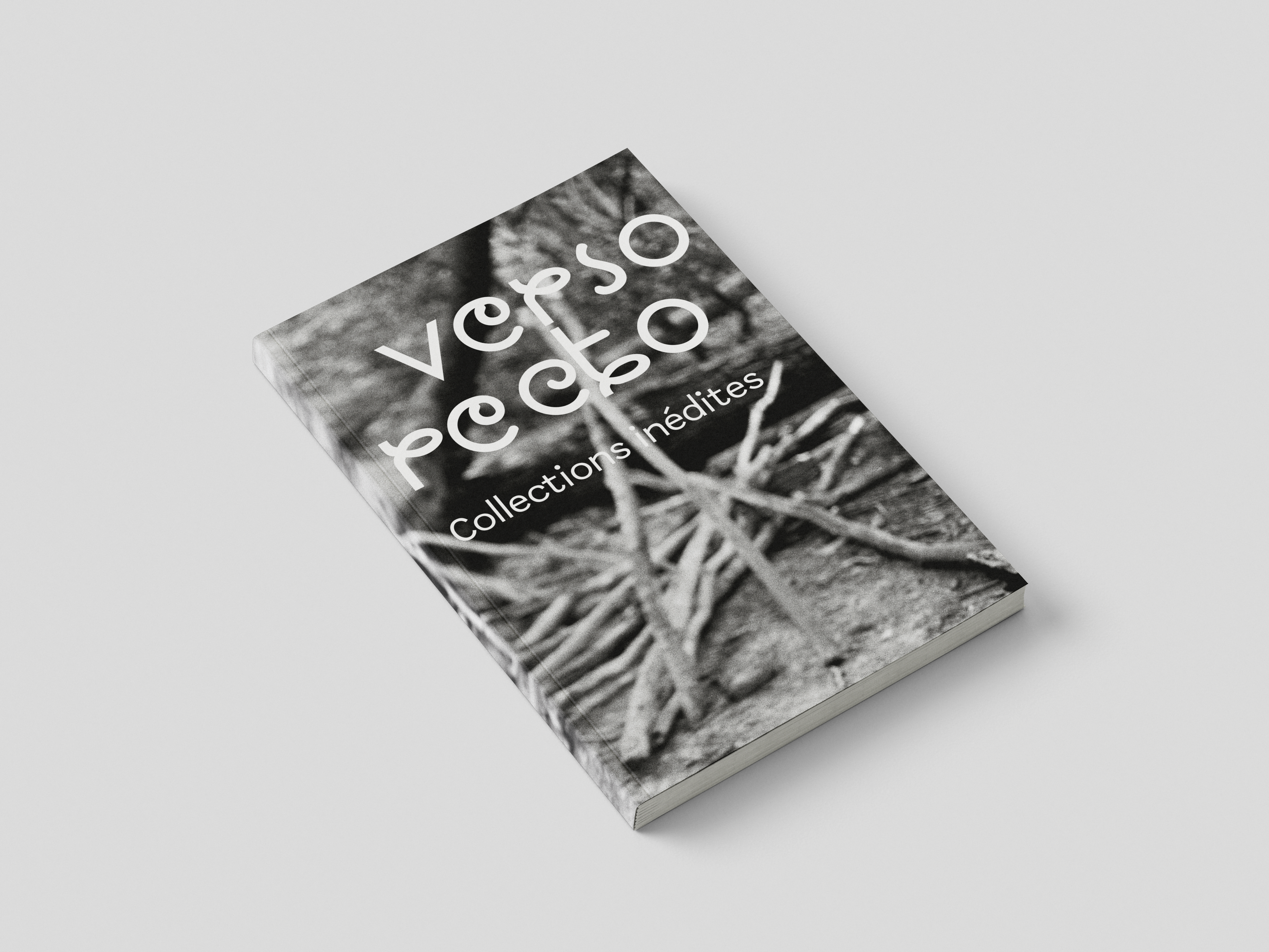 verso-recto : le livre d&rsquo;artiste