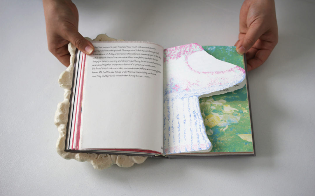 Ontmoeting rond het kunstenaarsboek